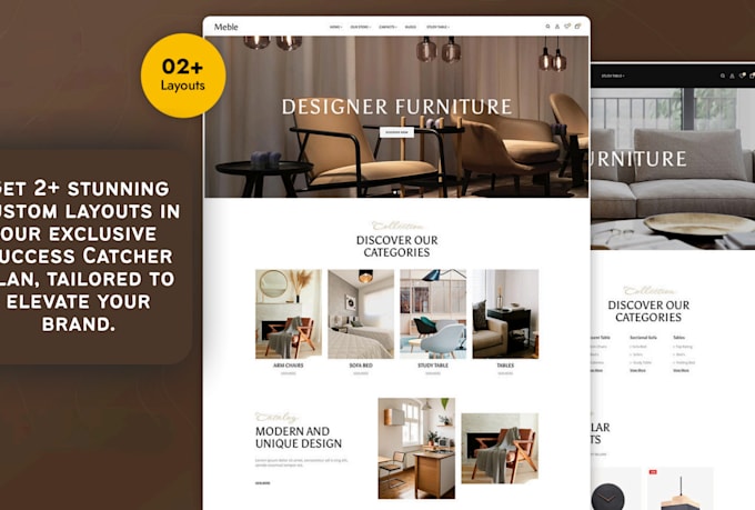 build shopify website, dropshipping store, design or redesign shopify store